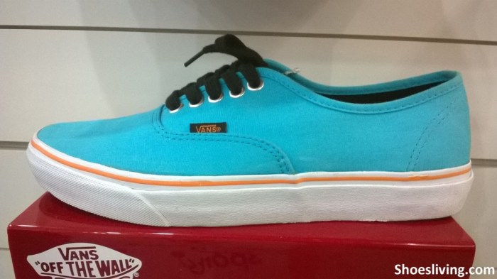 Vans selber gestalten